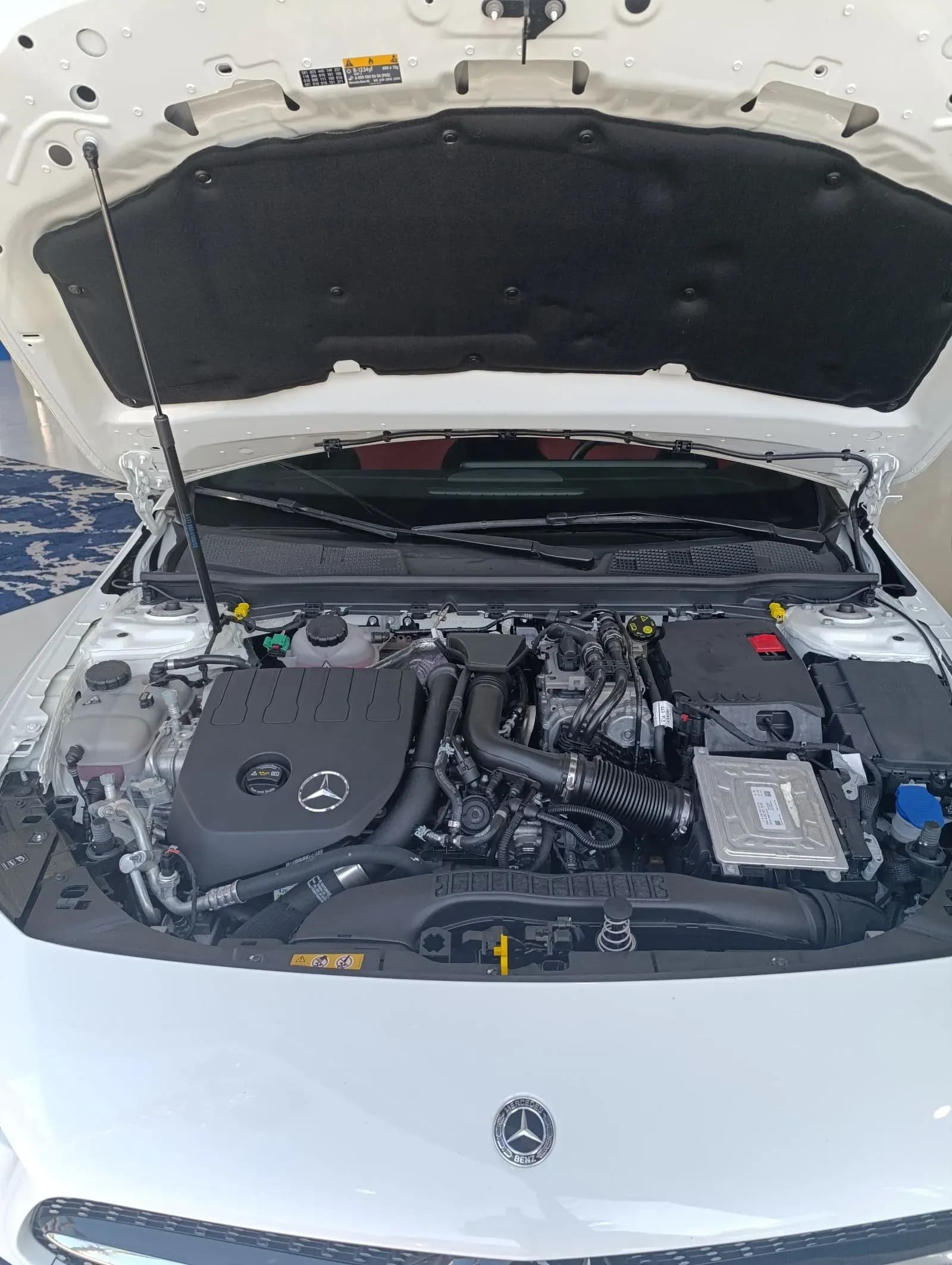 uploads/vehicles/2023/12/1711023433552-594.webp