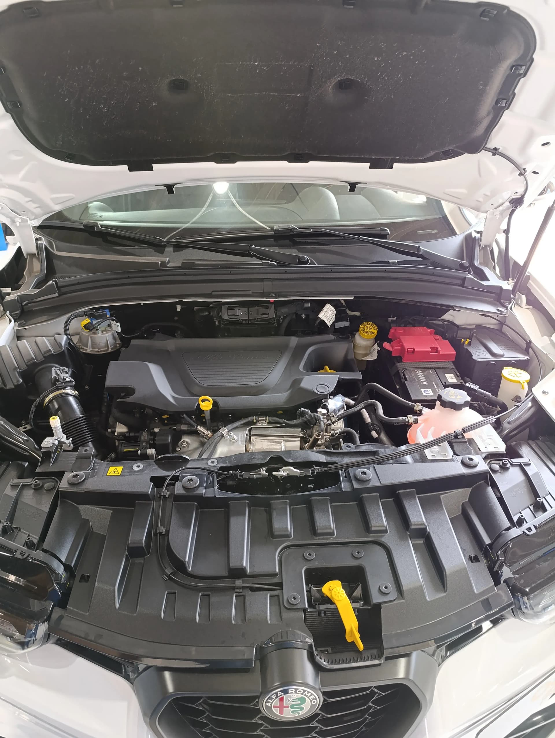uploads/vehicles/2024/03/1711022622897-213.webp