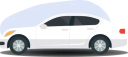 Compact
